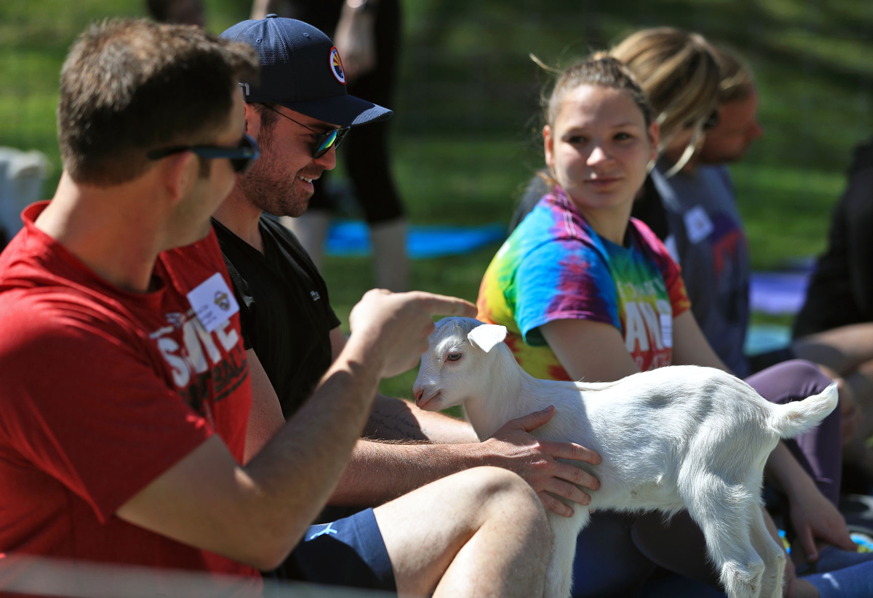 Namaste Goat Yoga